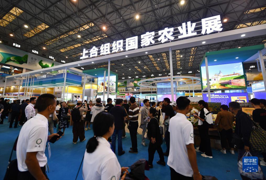 必赢集卡活动交流帖